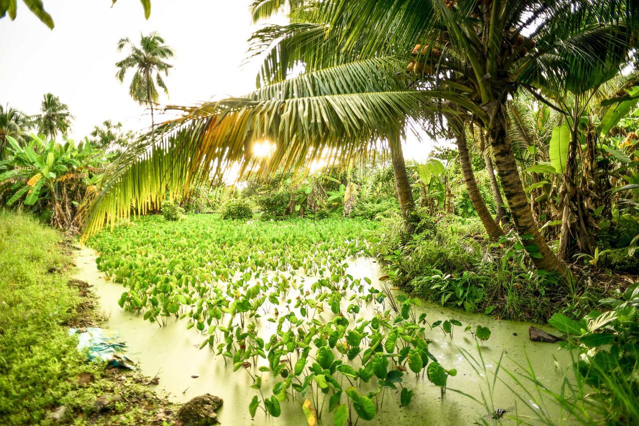 אדו אטול Veyli Residence Maldives, Fuvahmulah מראה חיצוני תמונה