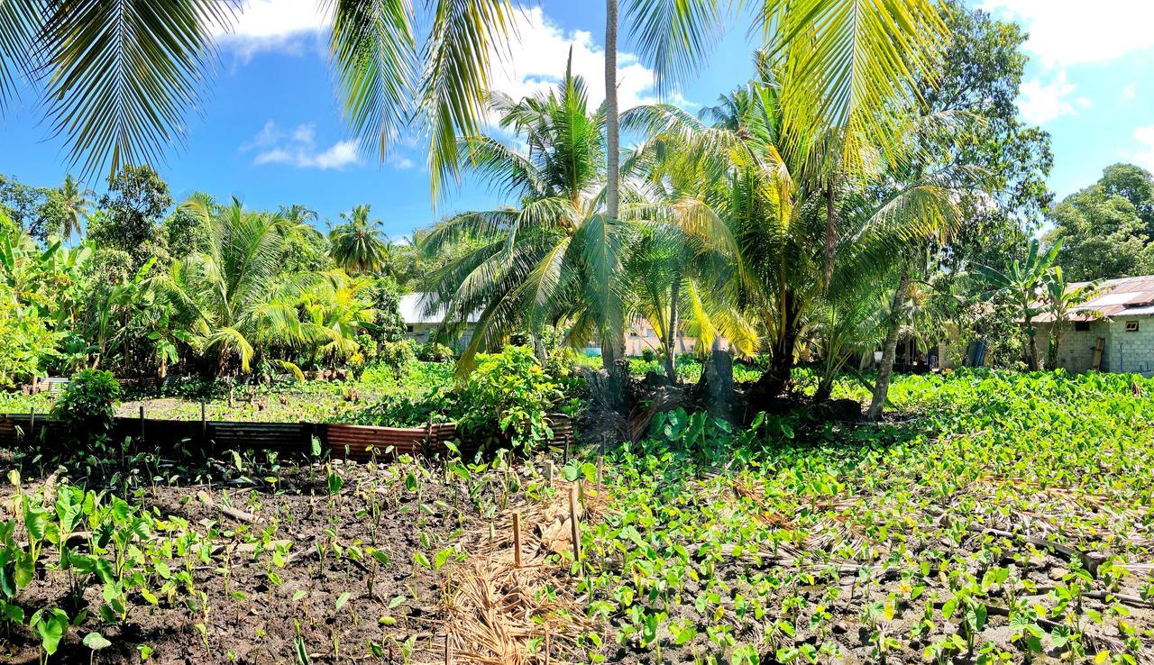 אדו אטול Veyli Residence Maldives, Fuvahmulah מראה חיצוני תמונה